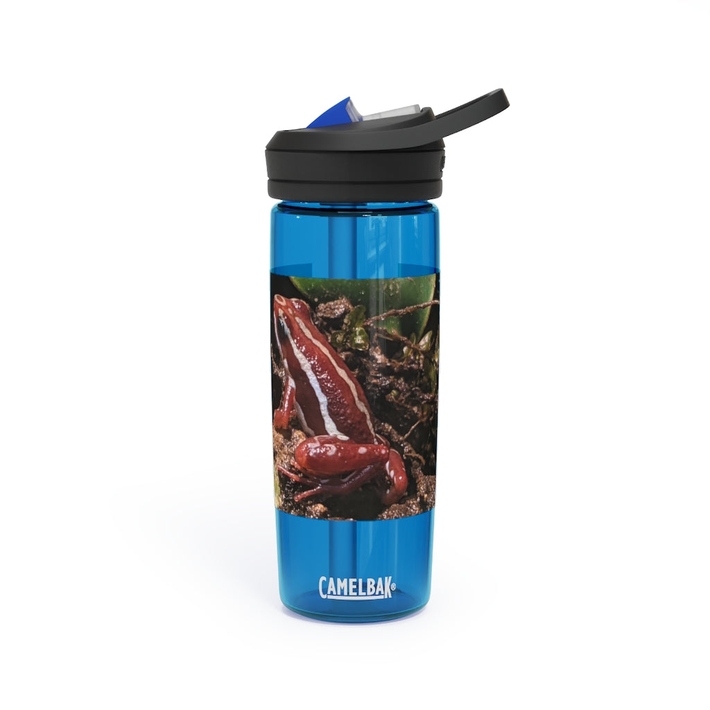 Red Frog CamelBak Eddy® Water Bottle in 20oz and 25oz sizes, showcasing its durable Tritan™ material and spill-proof design.