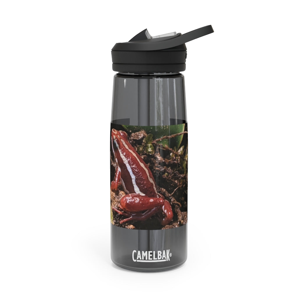 Red Frog CamelBak Eddy® Water Bottle in 20oz and 25oz sizes, showcasing its durable Tritan™ material and spill-proof design.