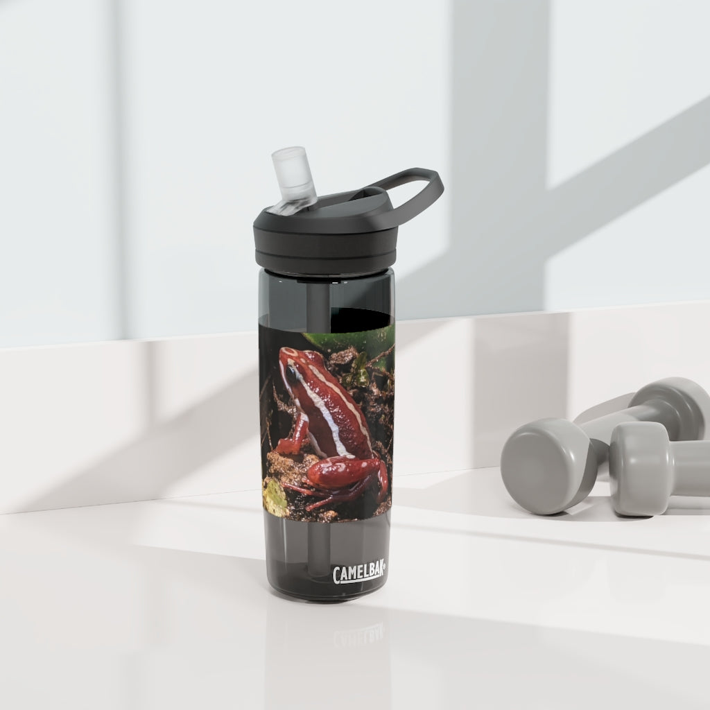 Red Frog CamelBak Eddy® Water Bottle in 20oz and 25oz sizes, showcasing its durable Tritan™ material and spill-proof design.