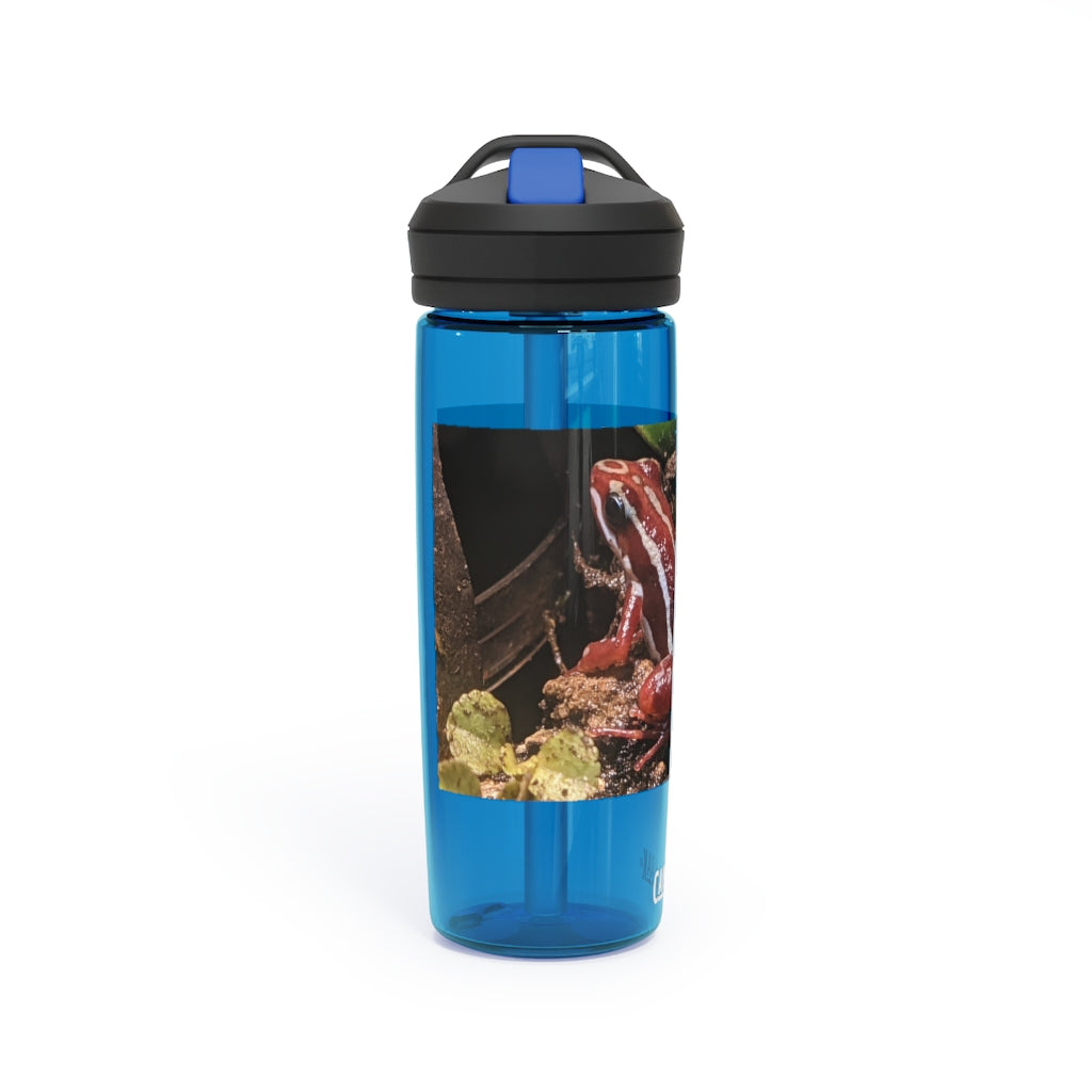 Red Frog CamelBak Eddy® Water Bottle in 20oz and 25oz sizes, showcasing its durable Tritan™ material and spill-proof design.