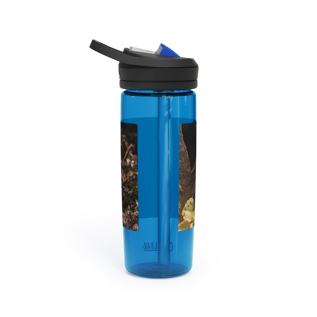 Red Frog CamelBak Eddy® Water Bottle in 20oz and 25oz sizes, showcasing its durable Tritan™ material and spill-proof design.