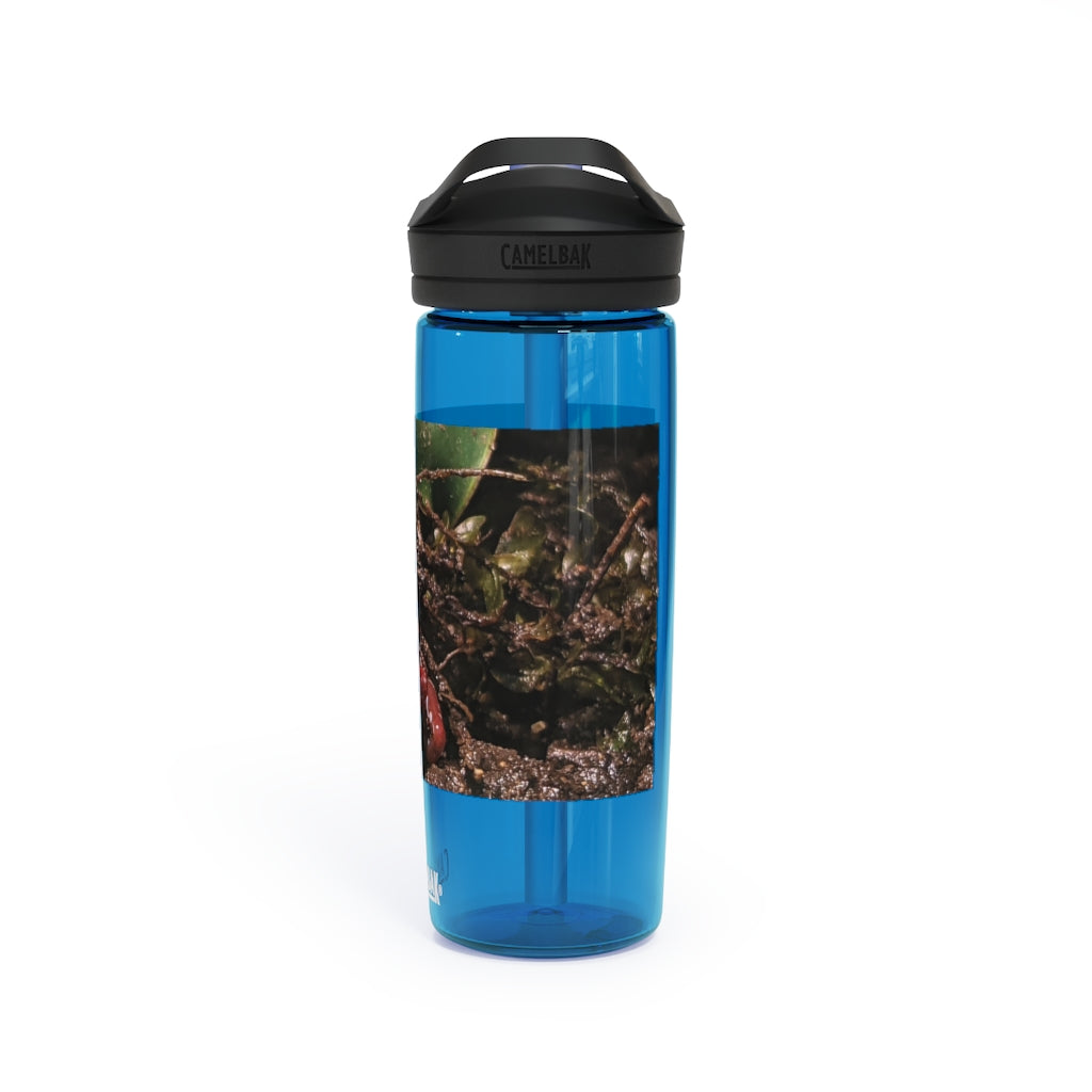 Red Frog CamelBak Eddy® Water Bottle in 20oz and 25oz sizes, showcasing its durable Tritan™ material and spill-proof design.