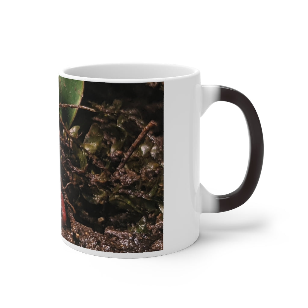 Red Frog Color Changing Mug showcasing its vibrant color-changing feature and ceramic design.