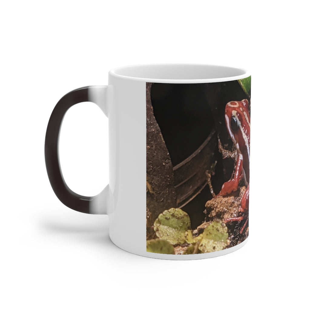 Red Frog Color Changing Mug showcasing its vibrant color-changing feature and ceramic design.