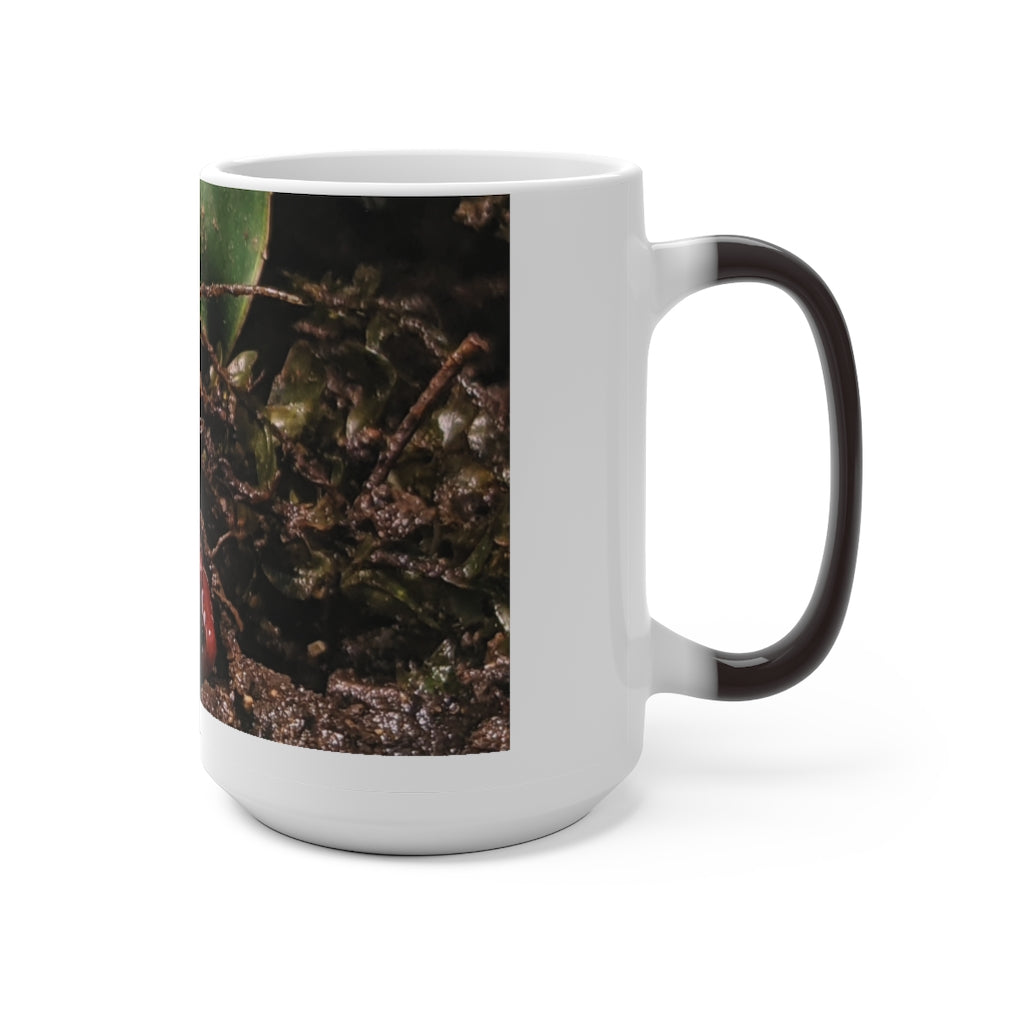 Red Frog Color Changing Mug showcasing its vibrant color-changing feature and ceramic design.