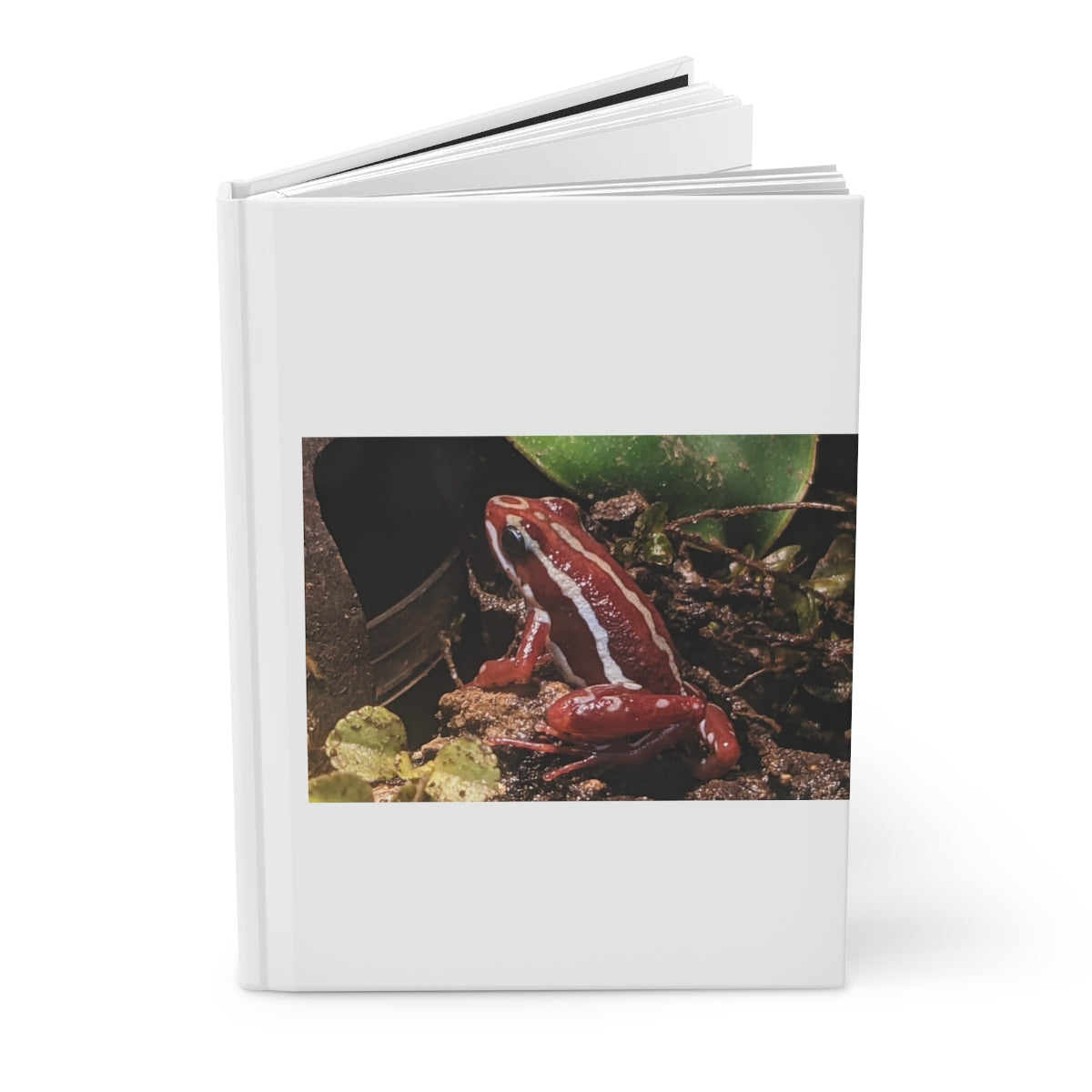 Red Frog Hardcover Journal with matte finish, customizable covers, and lined pages, perfect for personal journaling.