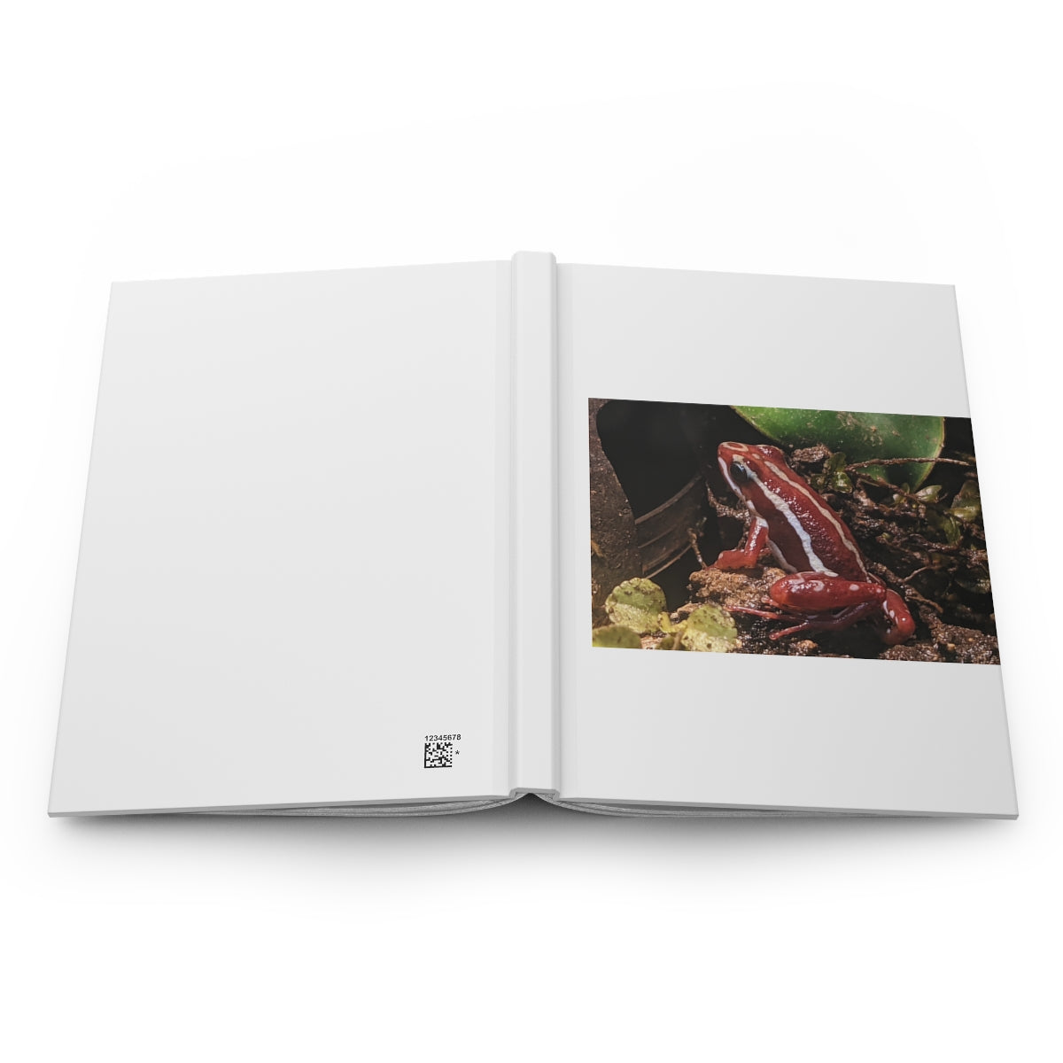 Red Frog Hardcover Journal with matte finish, customizable covers, and lined pages, perfect for personal journaling.