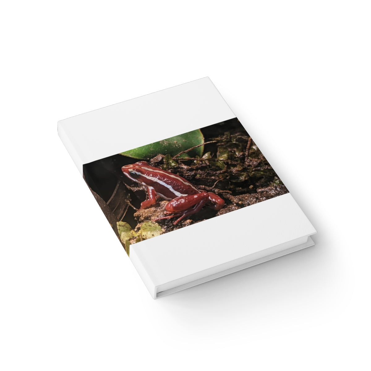 Red Frog Journal with blank pages and vibrant wraparound print, showcasing its durable hardcover design.