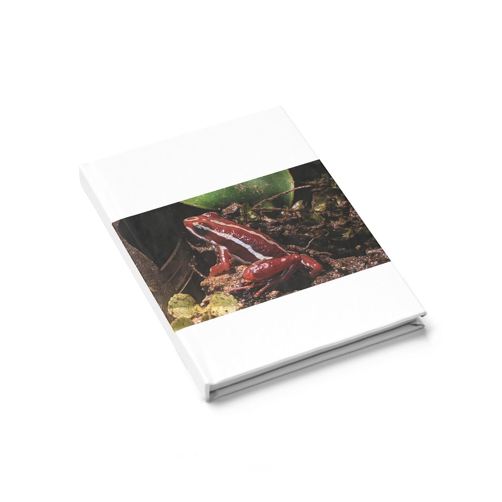 Red Frog Journal with ruled lines, featuring a durable hardcover and vibrant wraparound print.