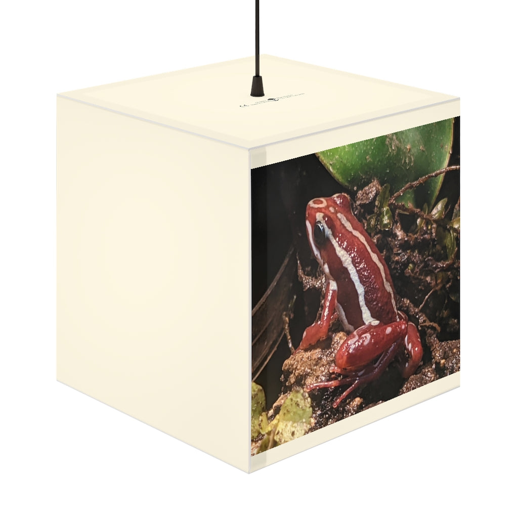 Red Frog Light Cube Lamp showcasing its unique cube design and vibrant colors, perfect for indoor decor.