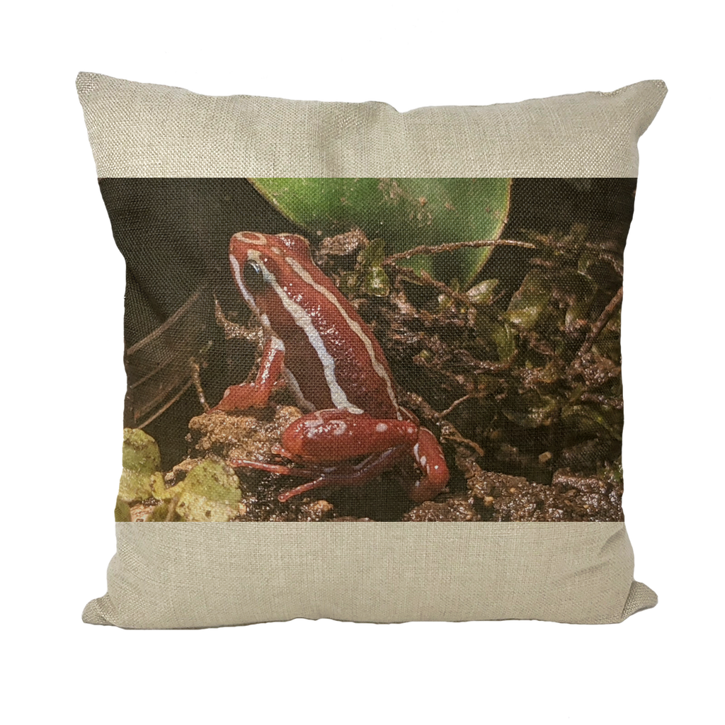 Red Frog Throw Pillows in various styles and colors, showcasing vibrant designs and high-quality materials.