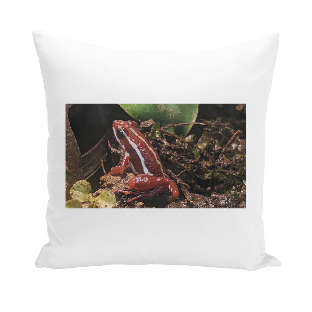 Red Frog Throw Pillows in various styles and colors, showcasing vibrant designs and high-quality materials.