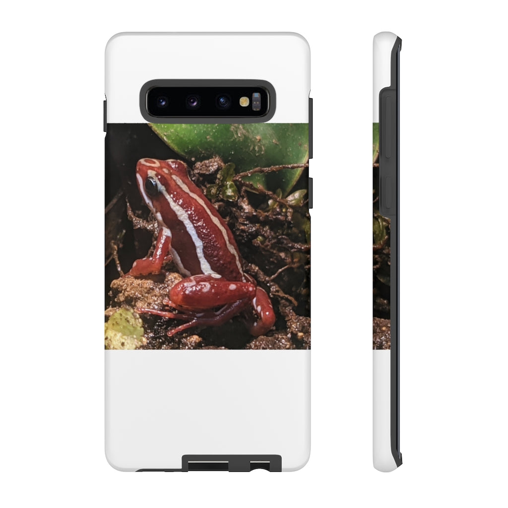 Red Frog Tough Case showcasing vibrant design and dual-layer protection for smartphones.