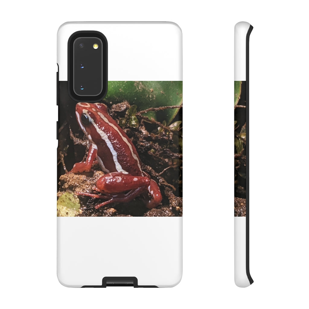 Red Frog Tough Case showcasing vibrant design and dual-layer protection for smartphones.