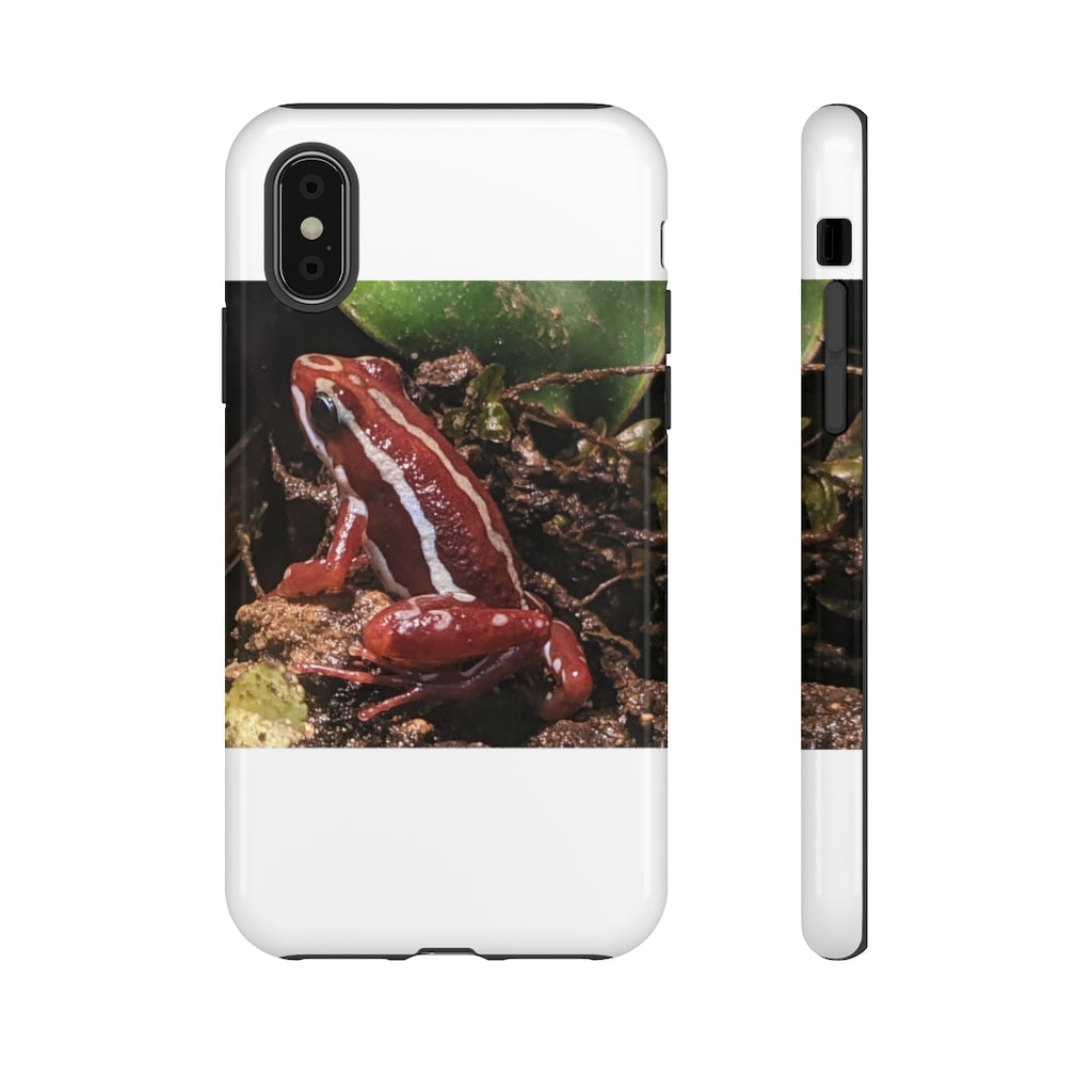 Red Frog Tough Case showcasing vibrant design and dual-layer protection for smartphones.