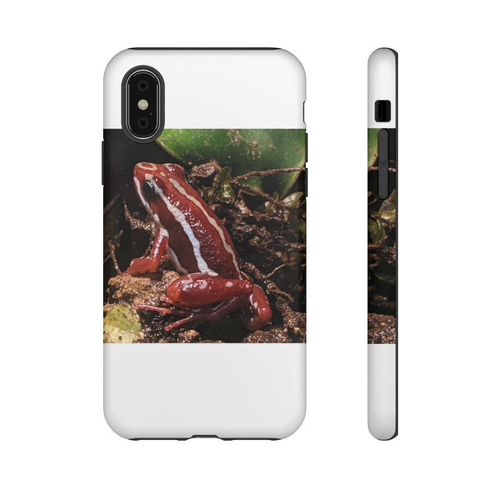 Red Frog Tough Case showcasing vibrant design and dual-layer protection for smartphones.