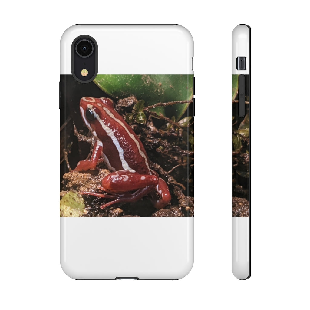 Red Frog Tough Case showcasing vibrant design and dual-layer protection for smartphones.