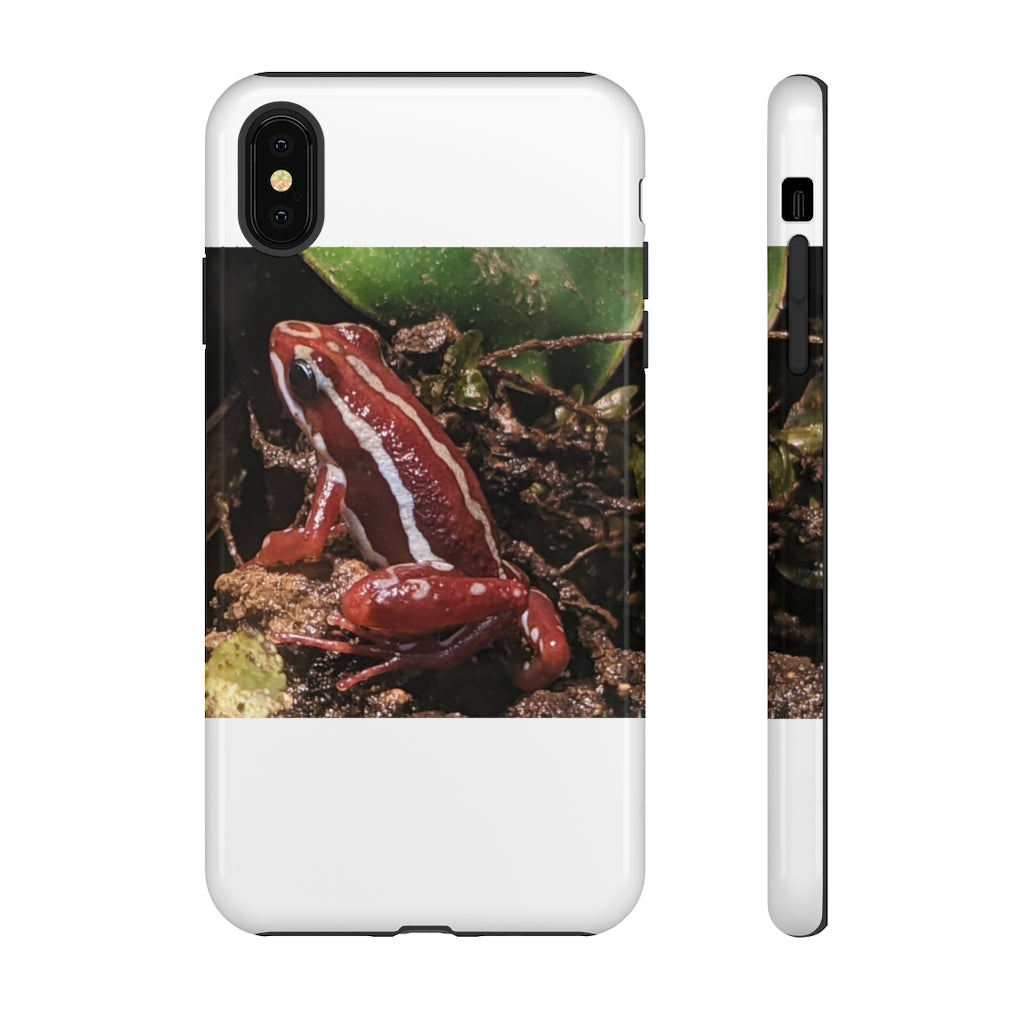 Red Frog Tough Case showcasing vibrant design and dual-layer protection for smartphones.