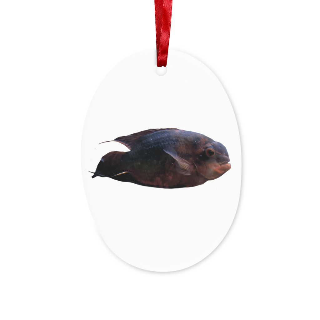 RedBlackFish Ceramic Hanging Ornament with red ribbon and gold string, beautifully crafted for holiday decor.