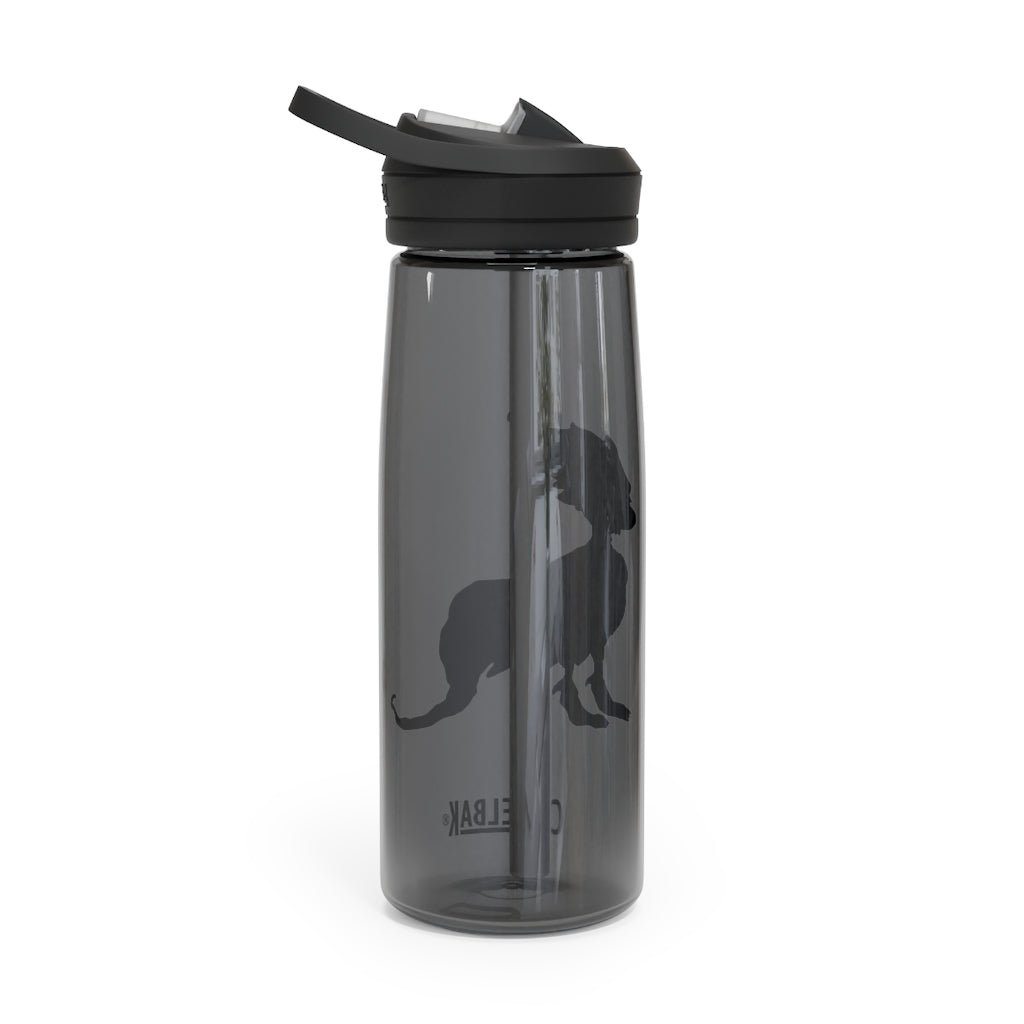 Rerann CamelBak Eddy® Water Bottle in 20oz and 25oz sizes, showcasing its durable Tritan™ material and spill-proof design.