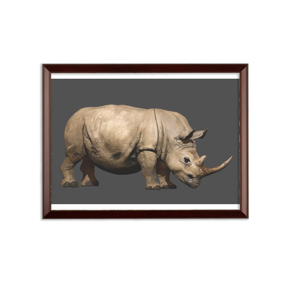 Rhino Character Sublimation Wall Plaque with brown wooden frame and white printable surface, showcasing customizable design options.