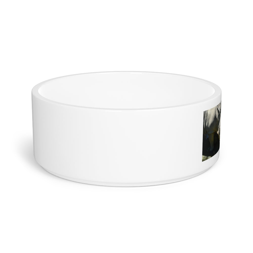 A stylish Rhinos Pet Bowl made of white ceramic, featuring a customizable design and a glazed finish, perfect for feeding pets.