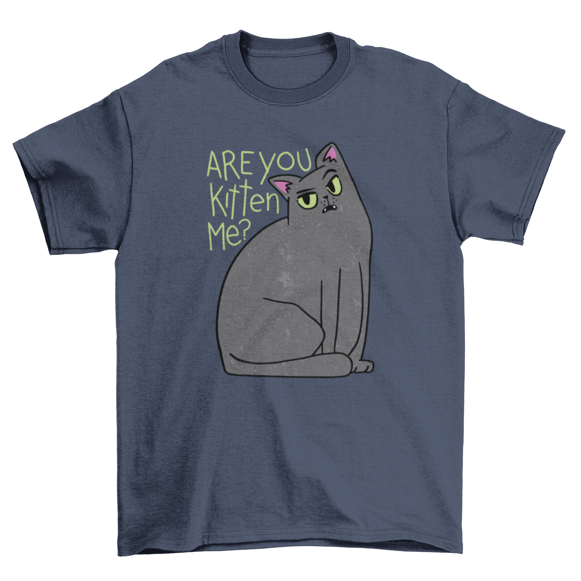 A humorous black t-shirt featuring a playful black cat graphic with the text 'Are you kitten me?'