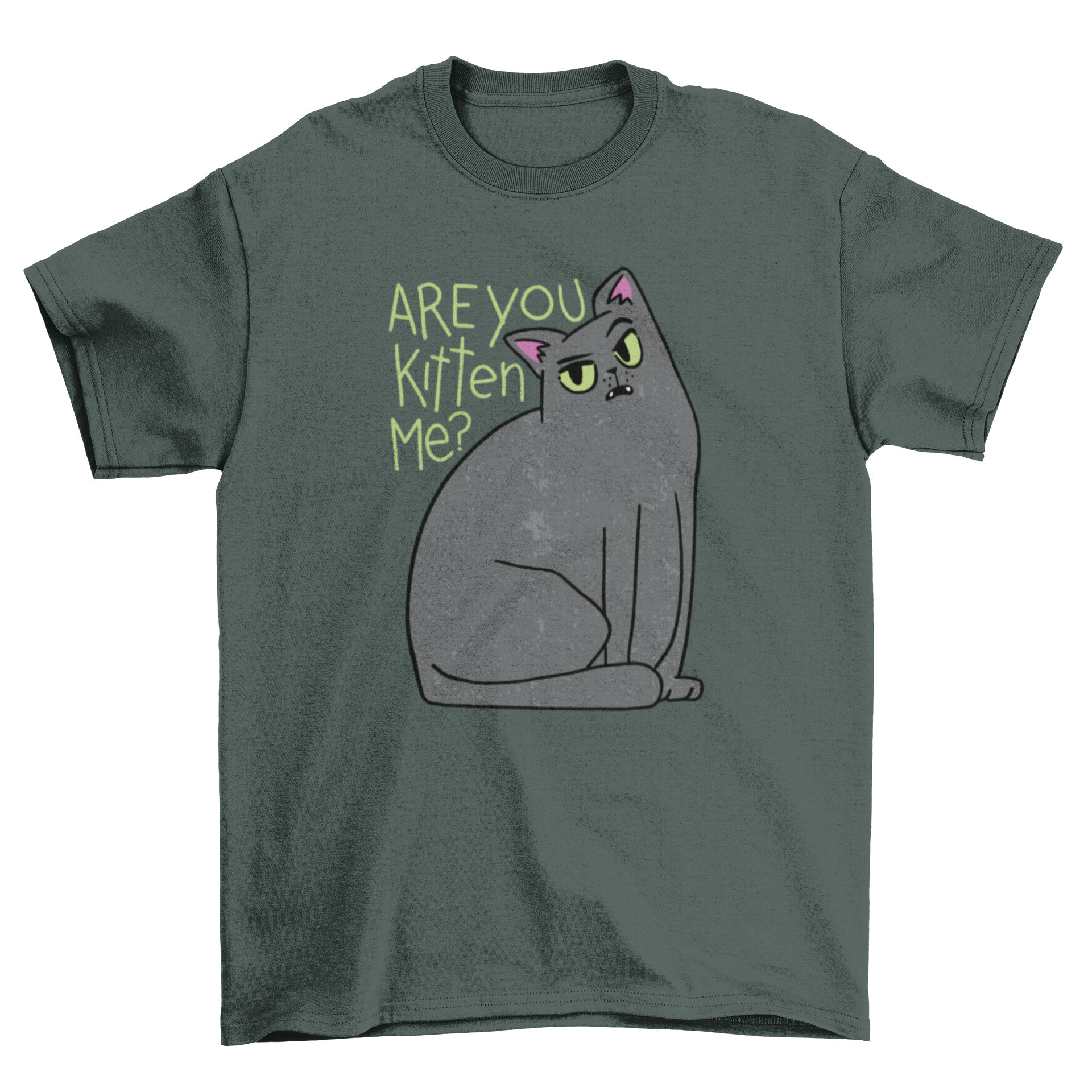 A humorous black t-shirt featuring a playful black cat graphic with the text 'Are you kitten me?'