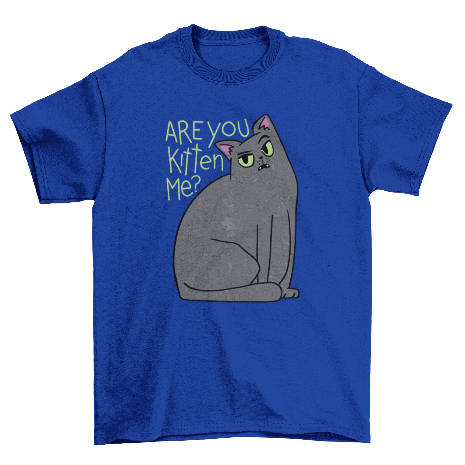 A humorous black t-shirt featuring a playful black cat graphic with the text 'Are you kitten me?'