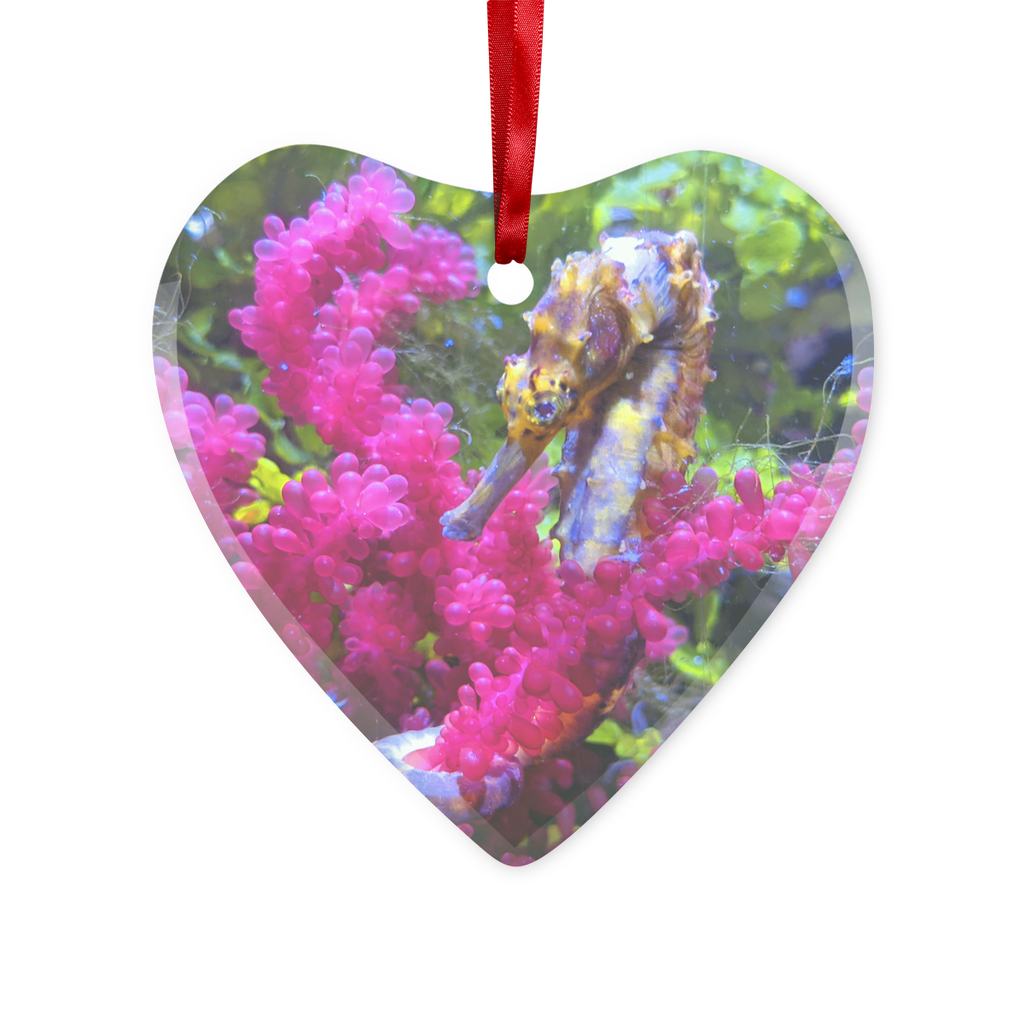 A beautifully crafted Seahorse Glass Hanging Ornament featuring a seahorse design, with a red ribbon and gold string for hanging.