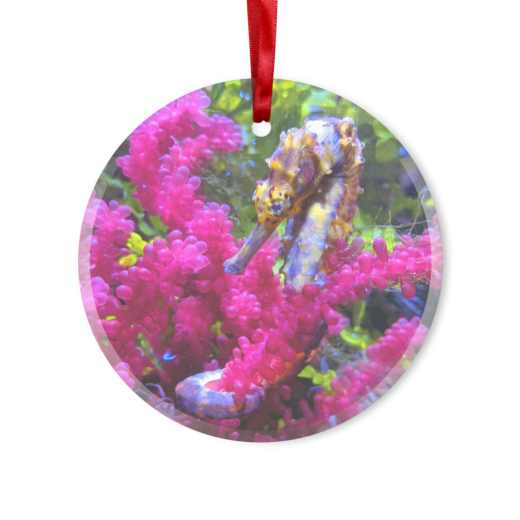 A beautifully crafted Seahorse Glass Hanging Ornament featuring a seahorse design, with a red ribbon and gold string for hanging.