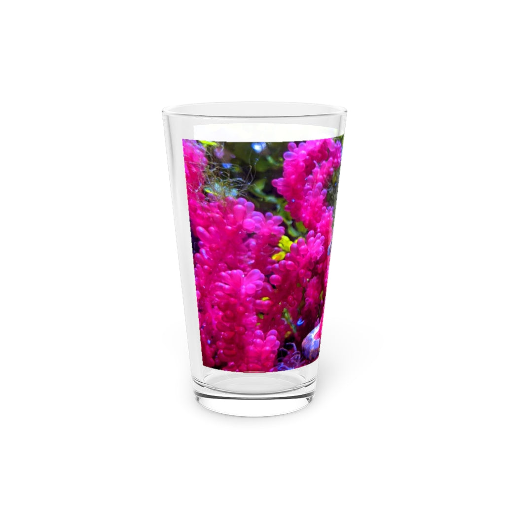 Seahorse Pint Glass, 16oz, clear glass with custom printed design, ideal for beverages.