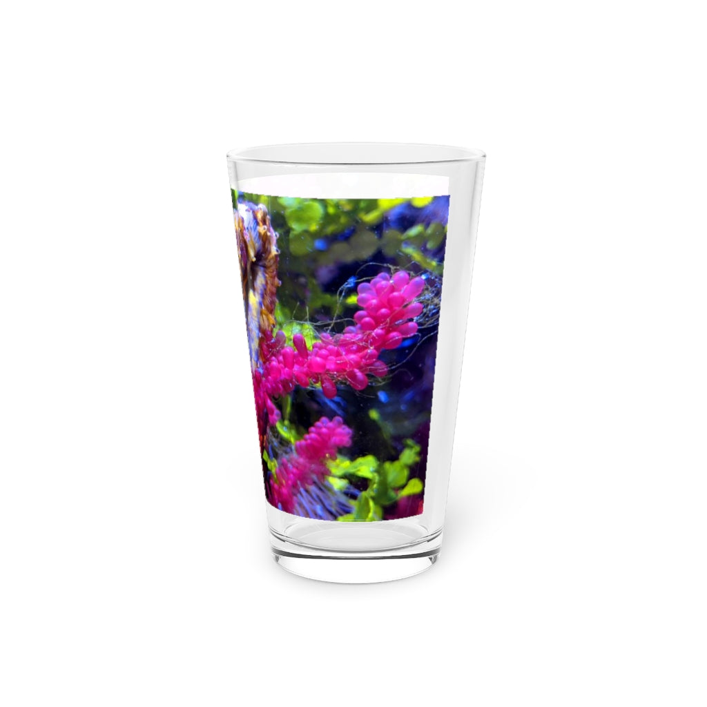 Seahorse Pint Glass, 16oz, clear glass with custom printed design, ideal for beverages.