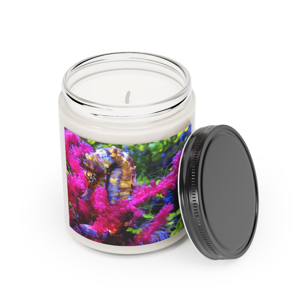 Seahorse Scented Candle in a glass container, featuring a warm glow and a stylish label, available in Cinnamon Stick and Vanilla scents.