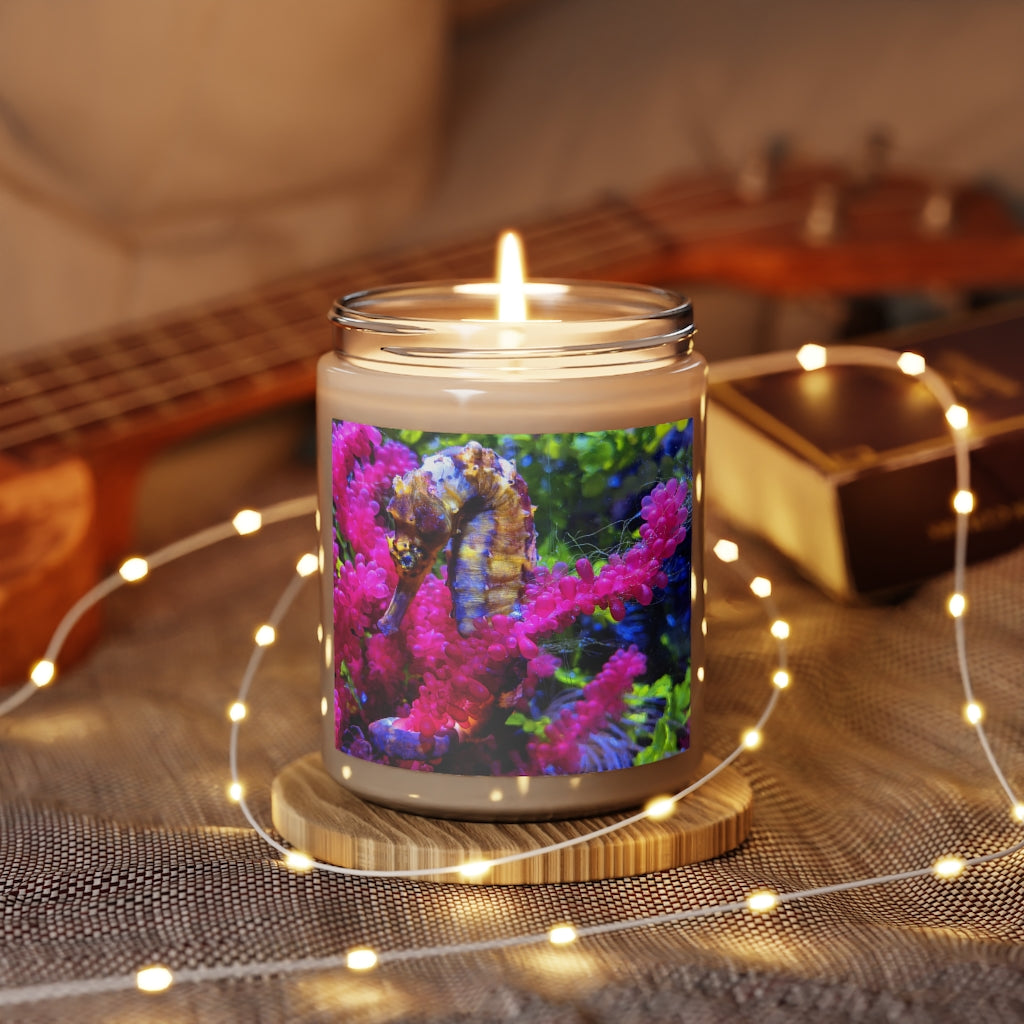 Seahorse Scented Candle in a glass container, featuring a warm glow and a stylish label, available in Cinnamon Stick and Vanilla scents.