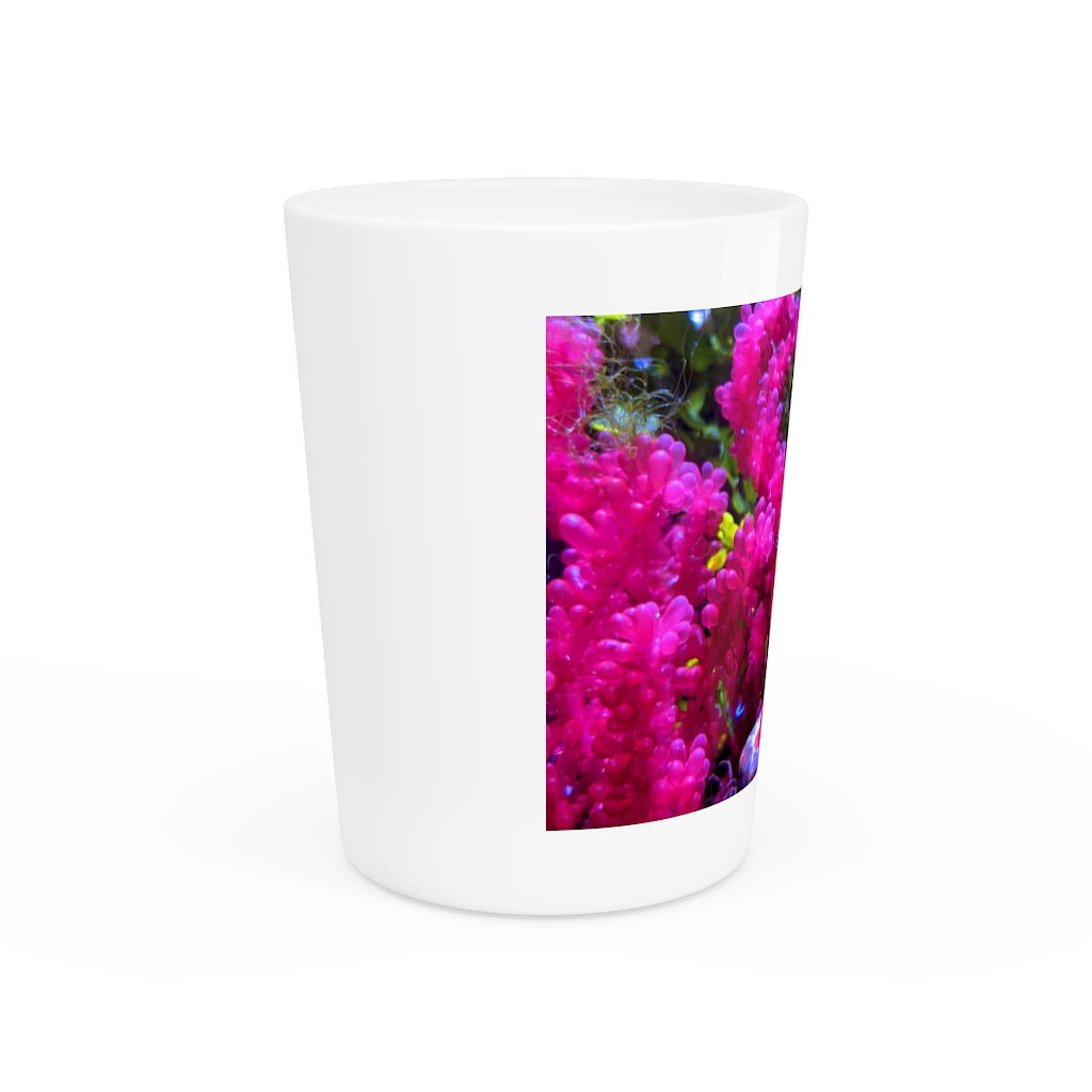 A personalized Seahorse Shot Glass made of ceramic, featuring a sleek design with a white or black interior, perfect for gatherings and gifts.