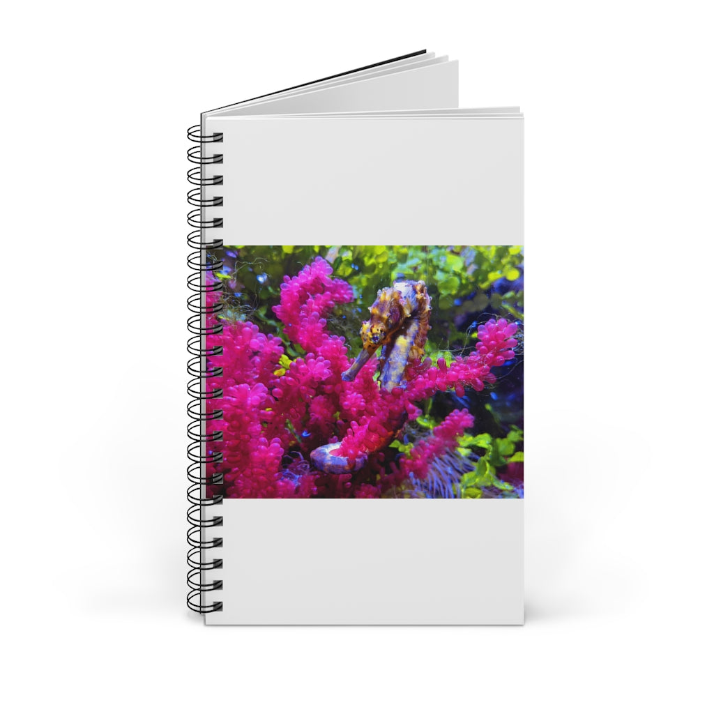 Seahorse Spiral Journal featuring a colorful front cover, showcasing various styles including blank, dot grid, lined, and task manager formats.