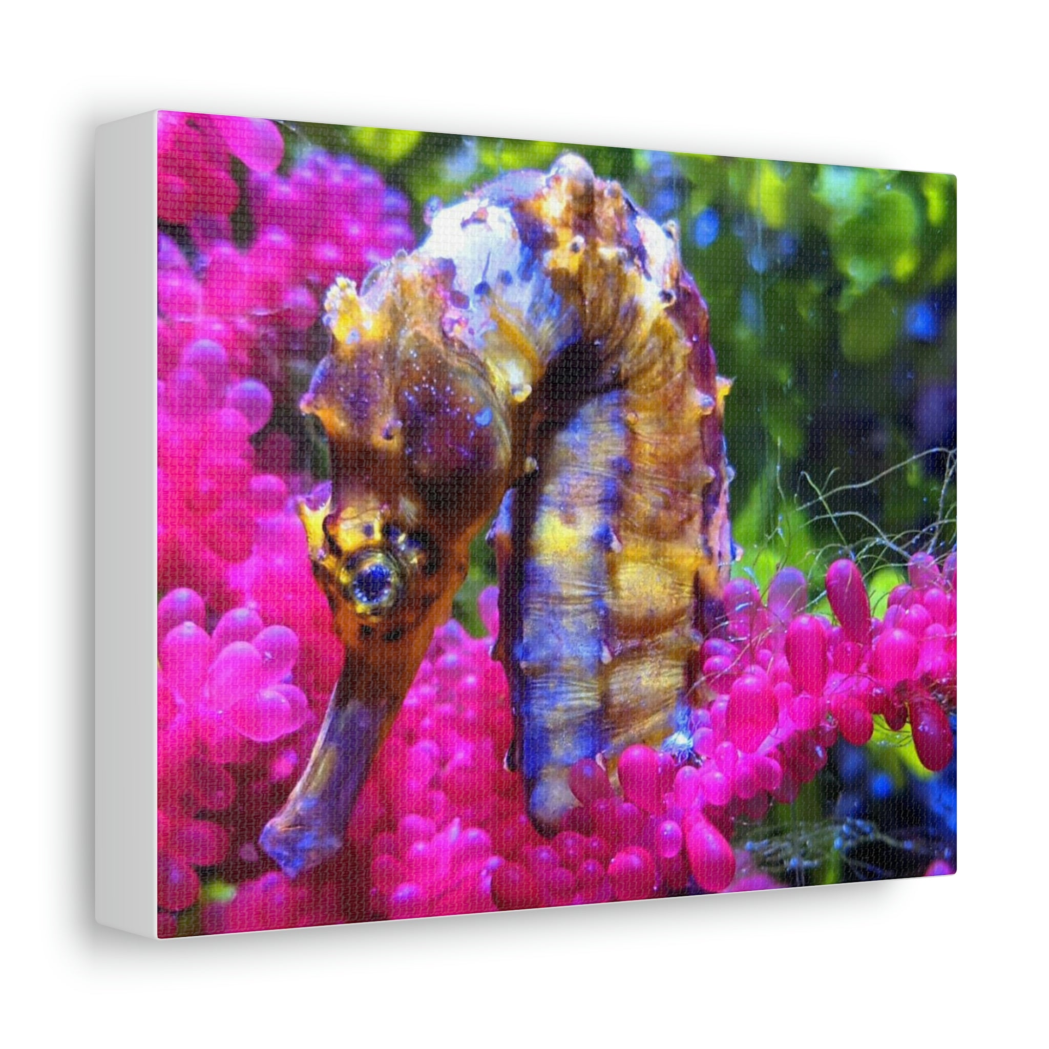 A beautifully printed seahorse stretched canvas art piece, showcasing vibrant colors and intricate details on a sturdy wooden frame.