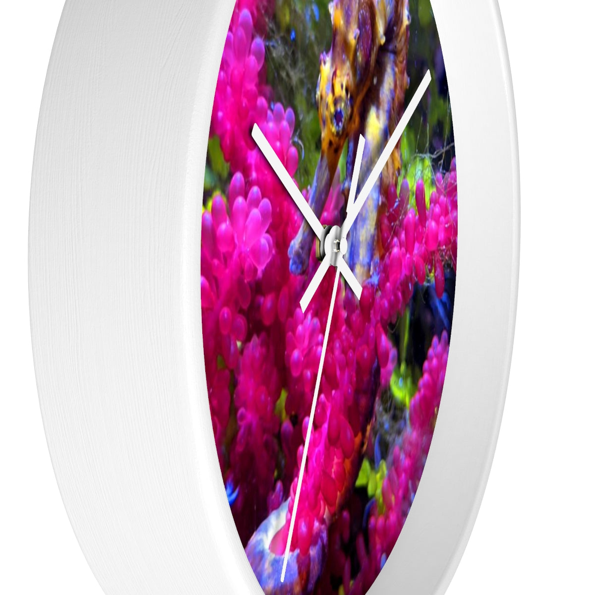 A stylish Seahorse Wall Clock featuring a wooden frame and a plexiglass face, perfect for indoor decor.