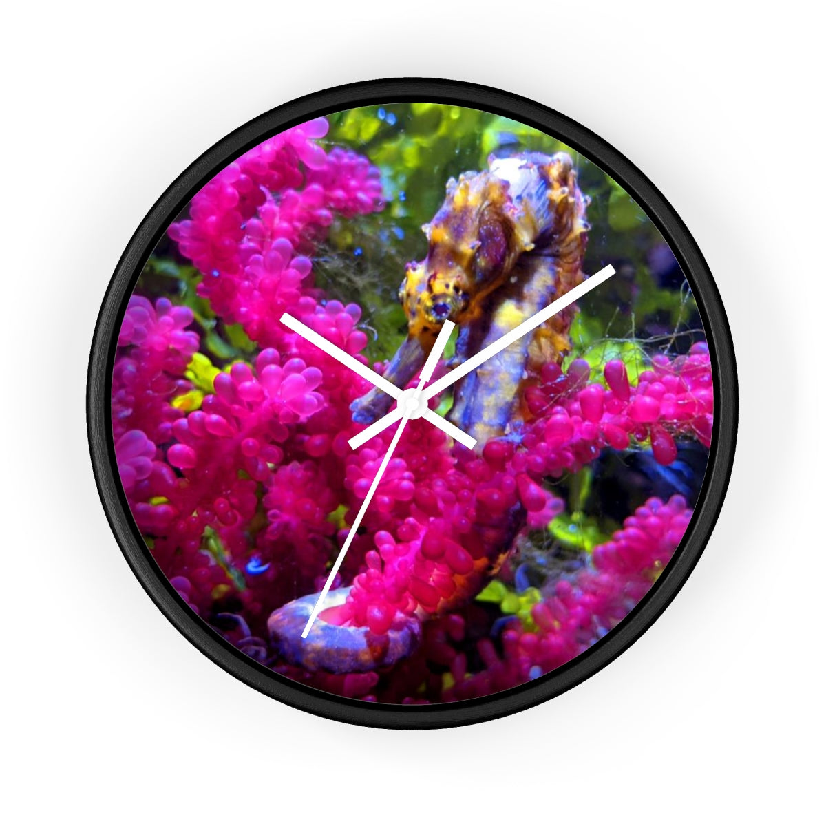 A stylish Seahorse Wall Clock featuring a wooden frame and a plexiglass face, perfect for indoor decor.