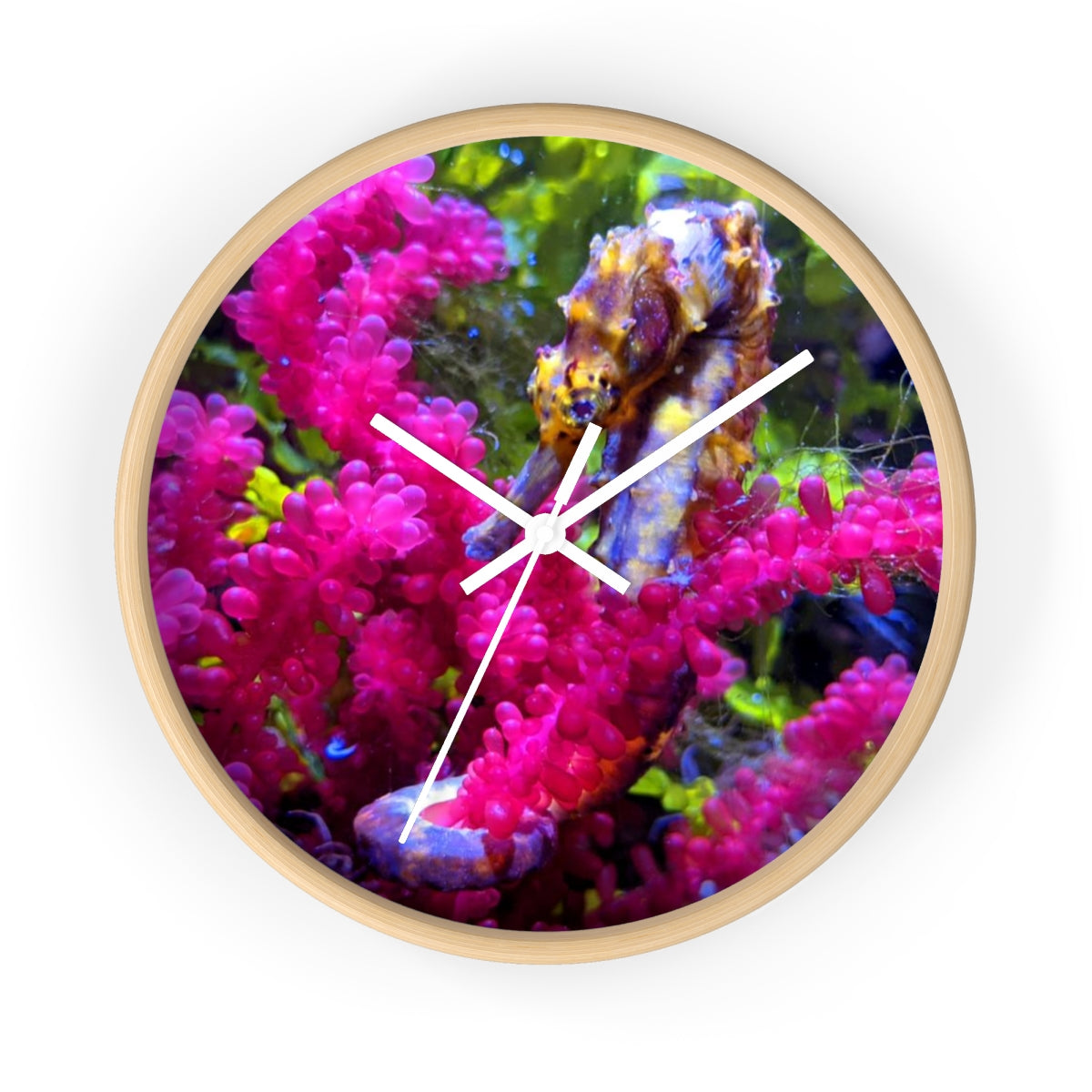 A stylish Seahorse Wall Clock featuring a wooden frame and a plexiglass face, perfect for indoor decor.