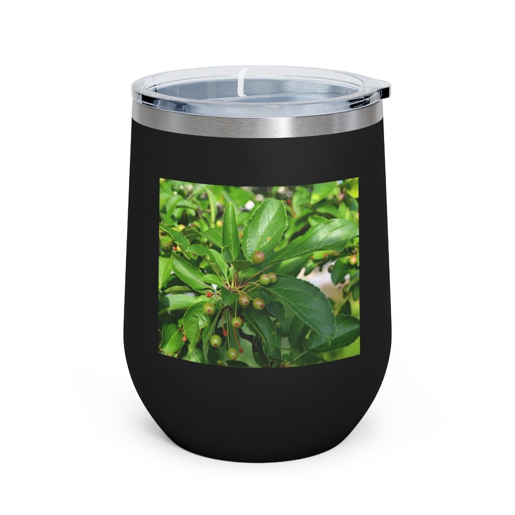 Seeds and Green Leaves 12oz Insulated Wine Tumbler with clear lid, showcasing a stylish design and stainless steel construction.