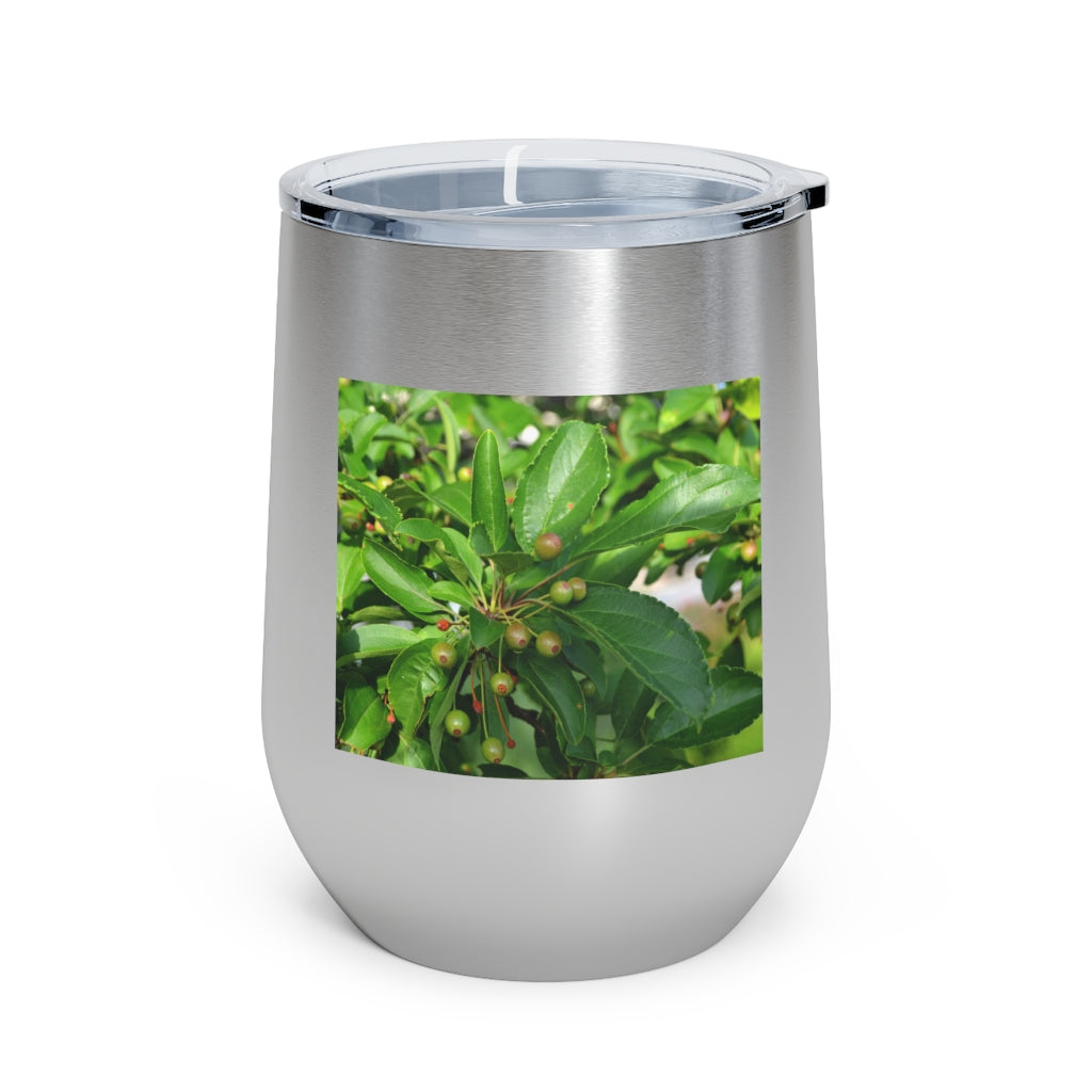 Seeds and Green Leaves 12oz Insulated Wine Tumbler with clear lid, showcasing a stylish design and stainless steel construction.