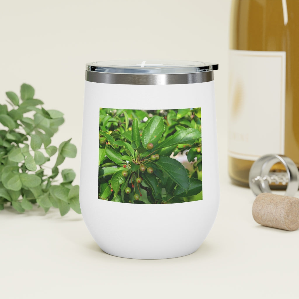 Seeds and Green Leaves 12oz Insulated Wine Tumbler with clear lid, showcasing a stylish design and stainless steel construction.