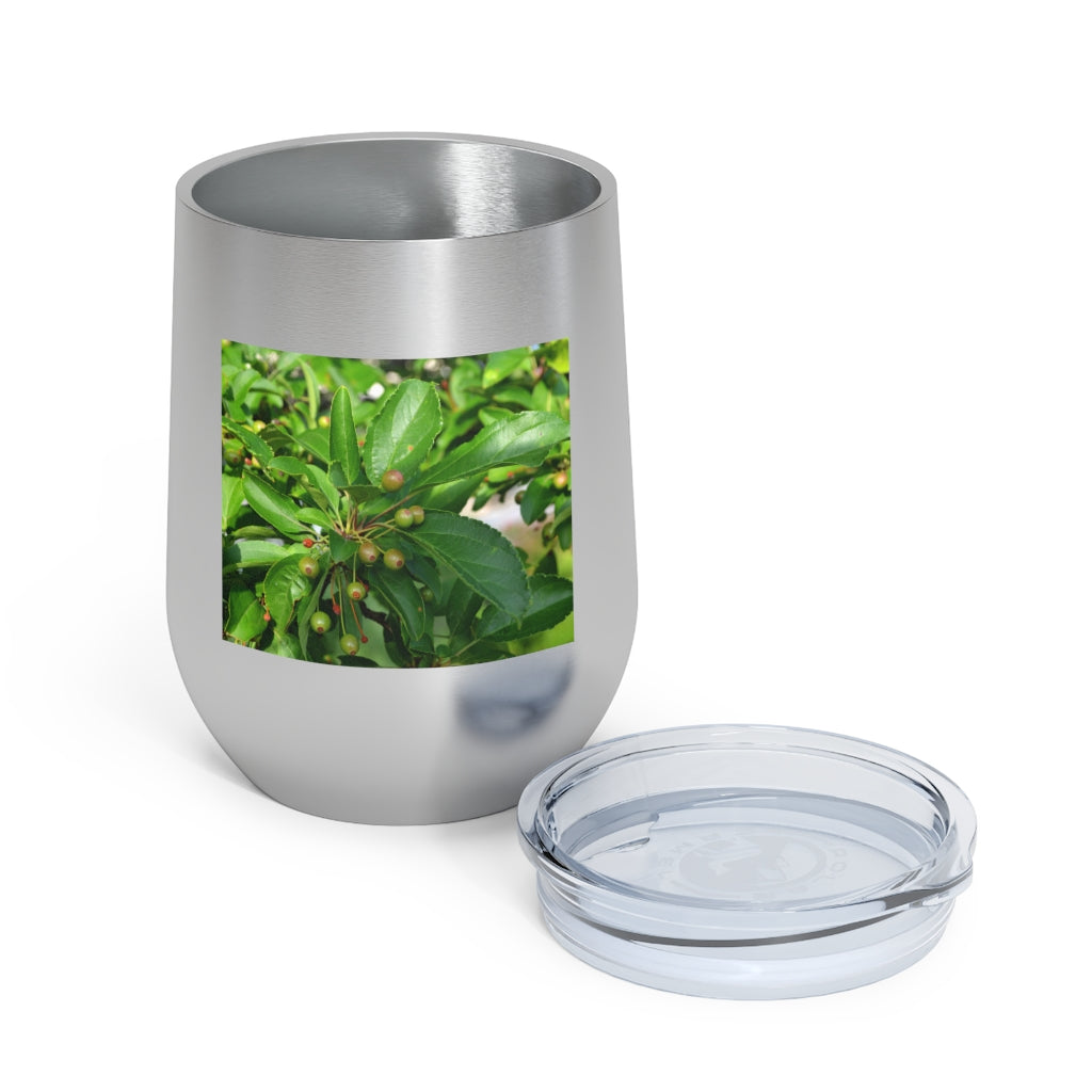 Seeds and Green Leaves 12oz Insulated Wine Tumbler with clear lid, showcasing a stylish design and stainless steel construction.