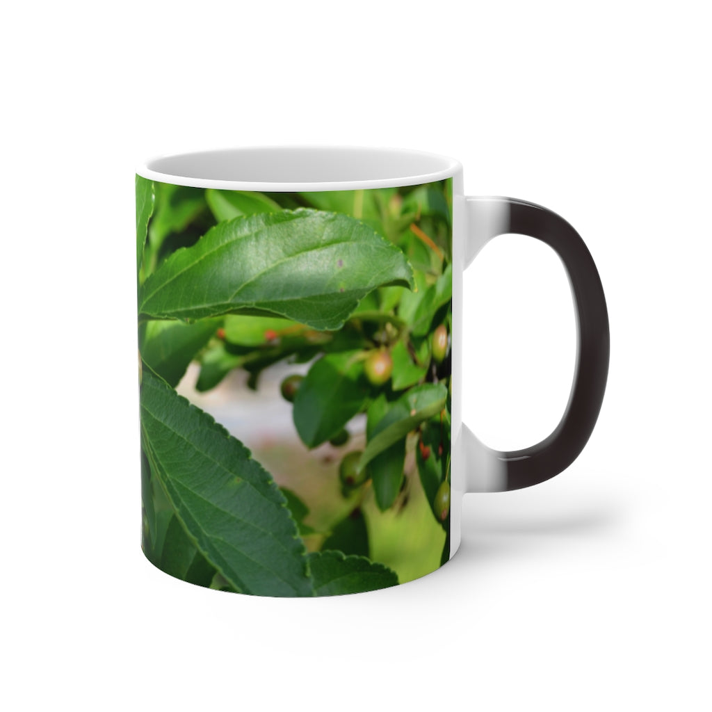 A white ceramic mug with seeds and green leaves design that changes color when filled with hot liquid, showcasing its unique feature.