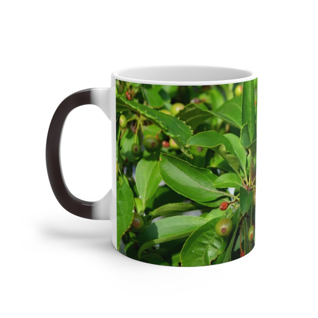 A white ceramic mug with seeds and green leaves design that changes color when filled with hot liquid, showcasing its unique feature.