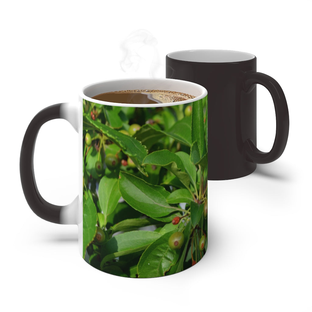 A white ceramic mug with seeds and green leaves design that changes color when filled with hot liquid, showcasing its unique feature.