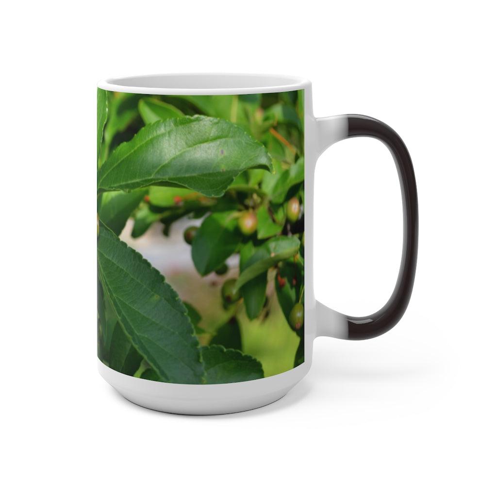 A white ceramic mug with seeds and green leaves design that changes color when filled with hot liquid, showcasing its unique feature.