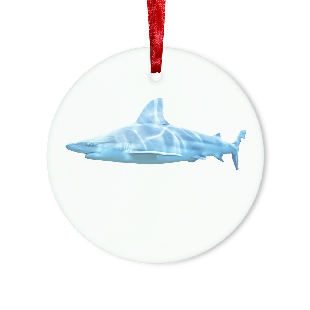 Shark Glass Hanging Ornament in round and heart shapes, elegantly displayed with red ribbon and gold string.